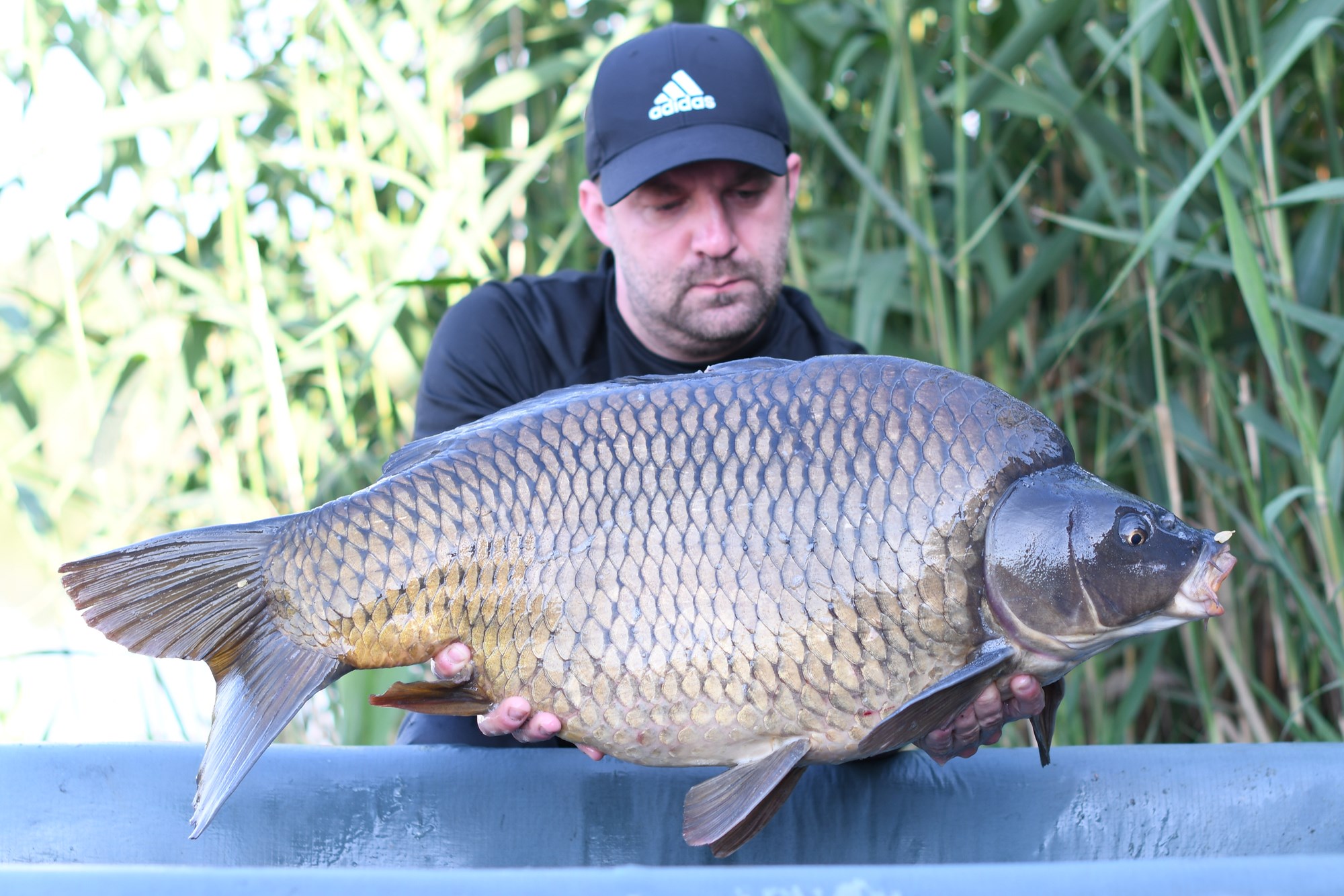 Tancabesti 29 mai - 2 iun. - DSC9609.jpg